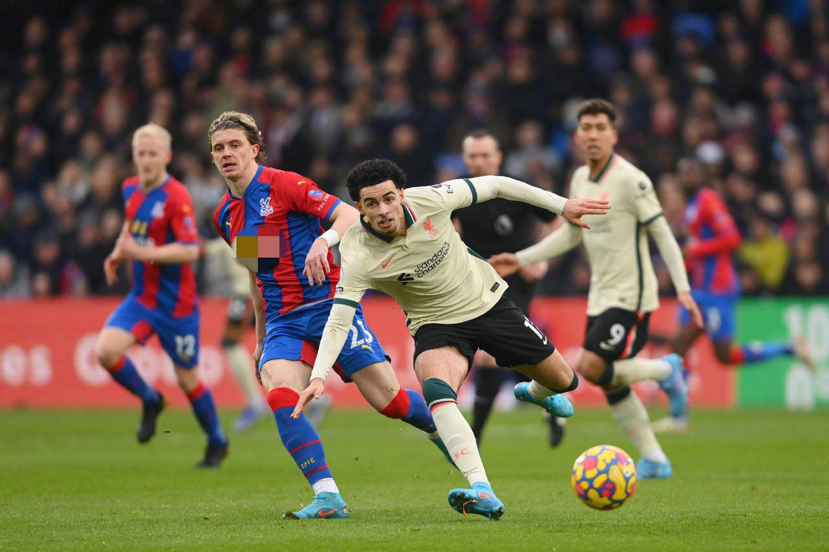 上展现自我 上展现自我